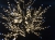 Дерево с прозрачными цветками (SAKURA, теплый белый+белые вспышки 100LED), H-2,4м, IP44 с трансформа