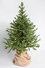 Искусственная елка "Датская" 150 см, Green Trees